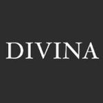 Divina Sports logo